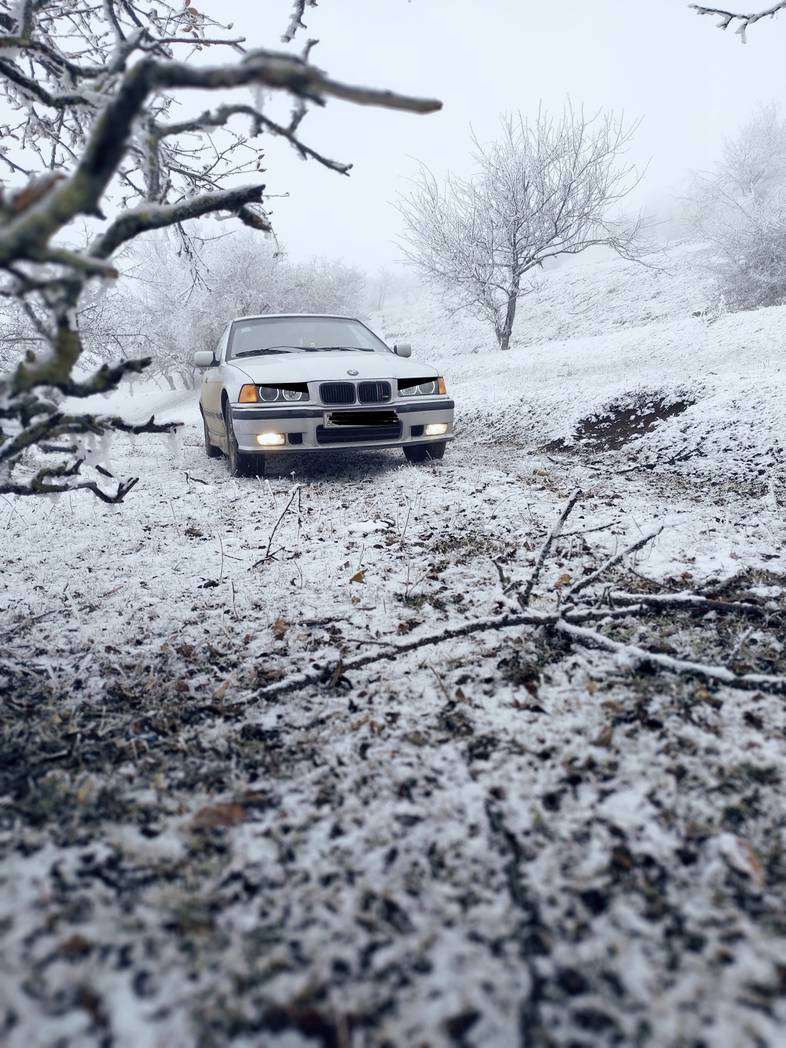 BMW 318, 1991 il, 1.8 L, 4 523 654 km
