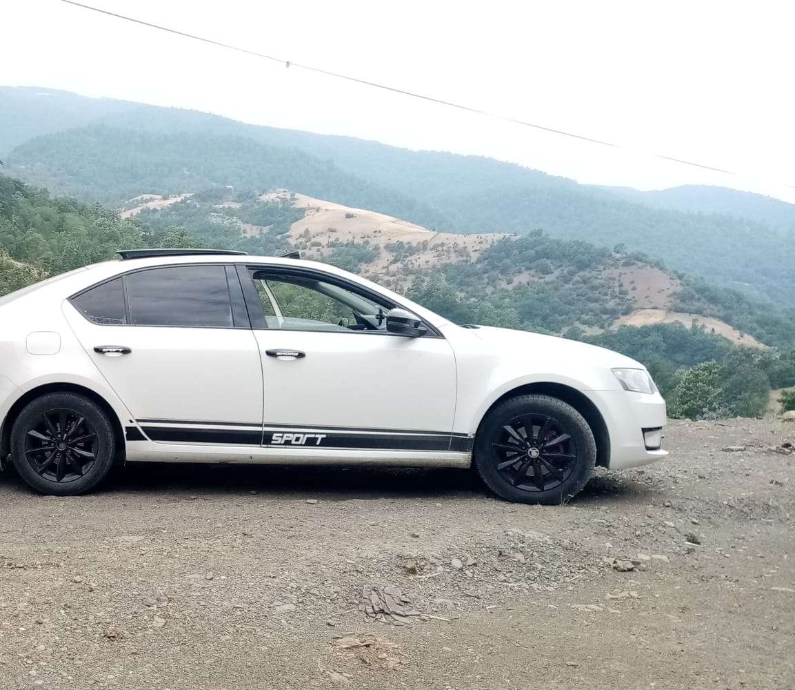 Skoda Octavia, 2014 il, 1.4 L, 254 000 km