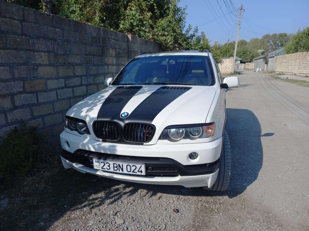 BMW X5, 2003 il, 3.0 L, 293 345 km