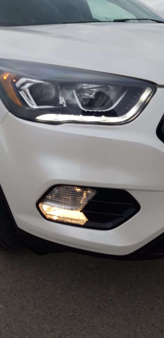 Ford Escape, 2019 il, 1.5 L, 25 000 km
