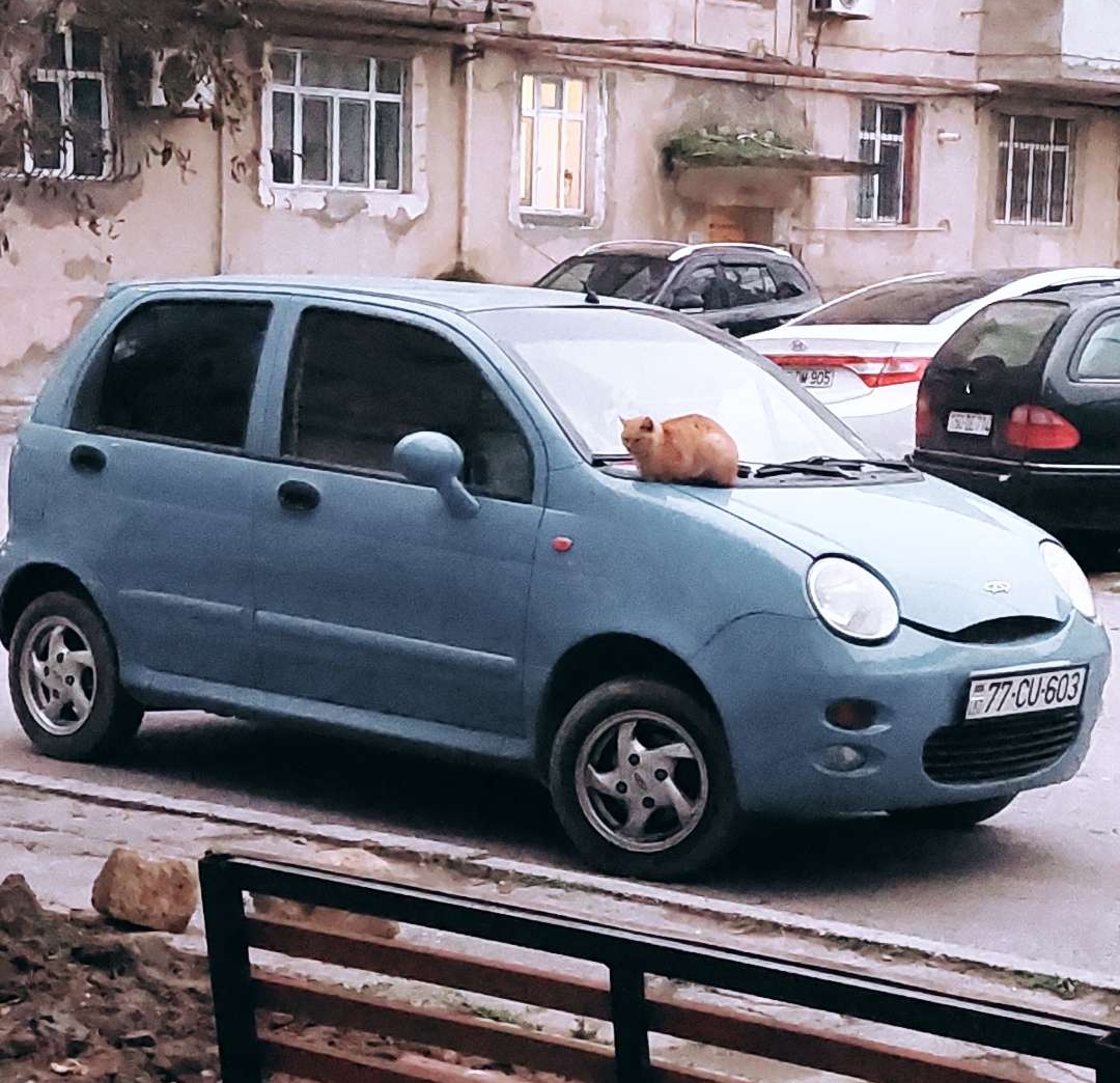 Chery QQ, 2007 il, 0.1 L, 114 642 km