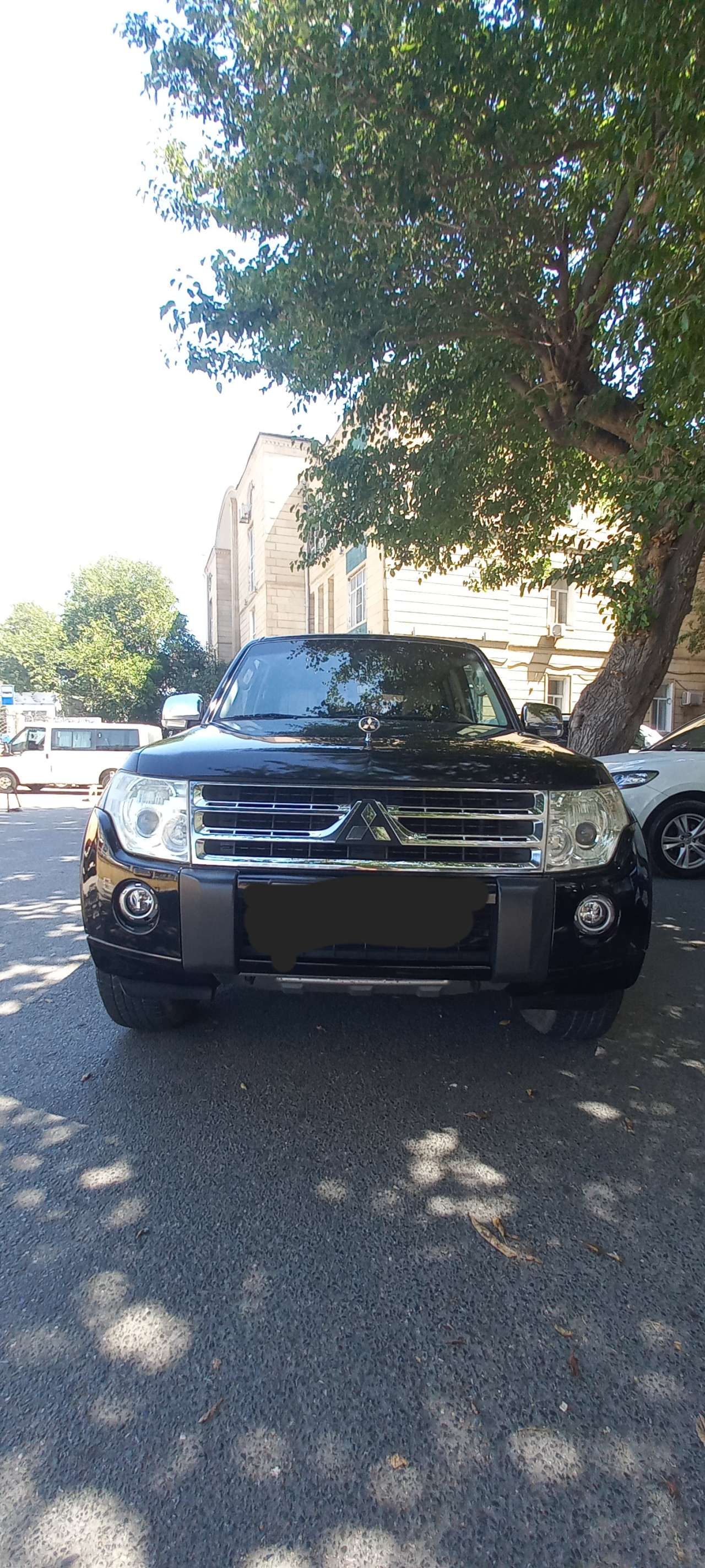 Mitsubishi Pajero, 2009 il, 0.35 L, 178 000 km