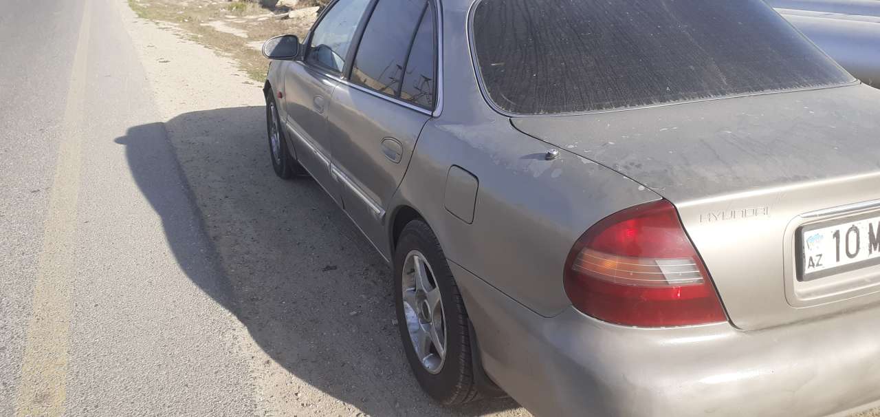 Hyundai Sonata, 1996 il, 2.0 L, 3 658 000 km
